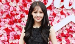 郑爽团队爆料娱乐圈新闻,真相与谎言交织