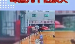 啤酒制作爆料视频教程,跟随视频教程轻松酿造自家风味佳酿